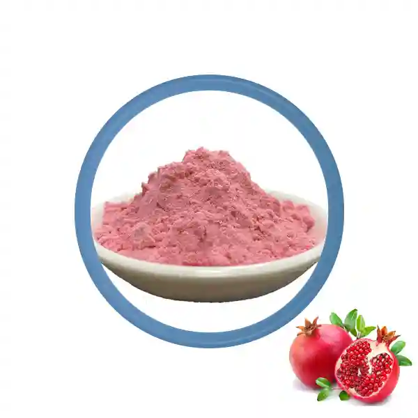 Pomegranate Juice Powder Bulk